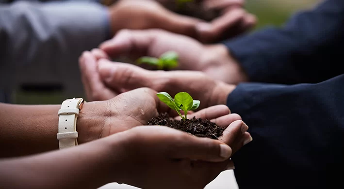 ISO 14001:2015 Çevre Yönetim Sistemi