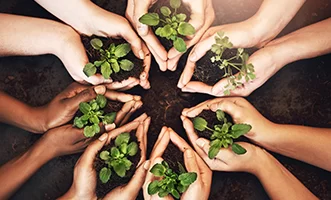 ISO 14001:2015 Çevre Yönetim Sistemi