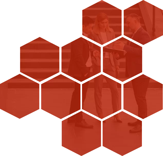 AVANTAJLAR